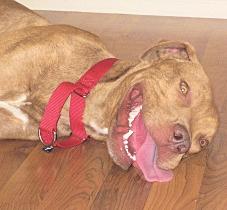 Someone to love: Jeter